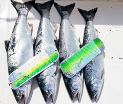 bites-on-salmon-fishing-charters-vancouver-guide-journal-fishing-reports-coho-02-800x675.jpg